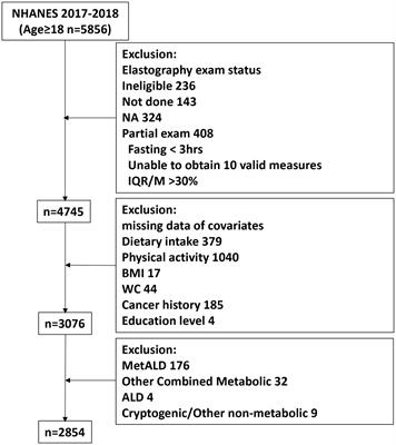 New insights into metabolic dysfunction-associated steatotic liver disease and oxidative balance score